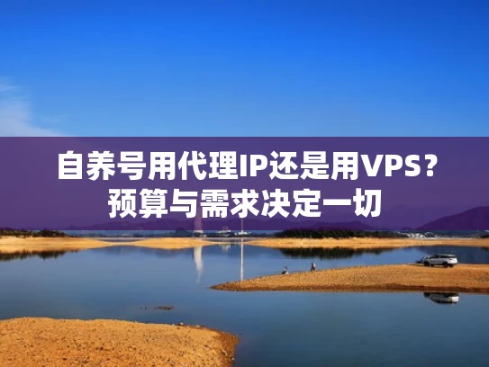 自养号用代理IP还是用VPS？预算与需求决定一切