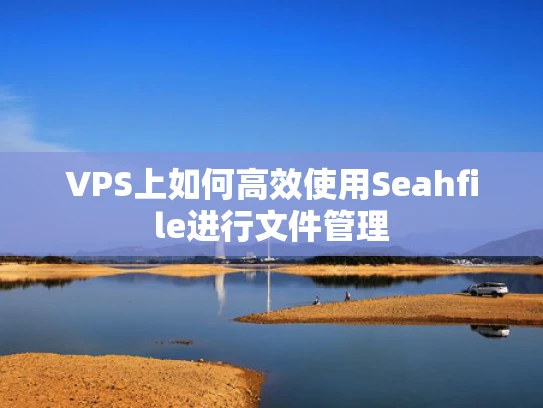 VPS上如何高效使用Seahfile进行文件管理