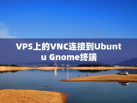 VPS上的VNC连接到Ubuntu Gnome终端