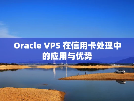 Oracle VPS 在信用卡处理中的应用与优势