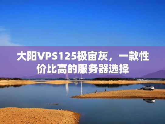 大阳VPS125极宙灰，一款性价比高的服务器选择