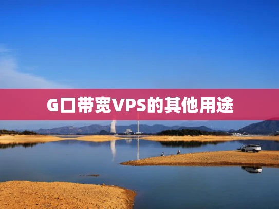 G口带宽VPS的其他用途