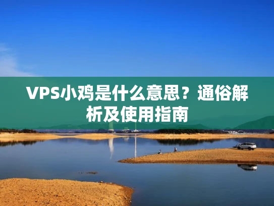 VPS小鸡是什么意思？通俗解析及使用指南