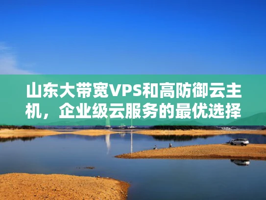 山东大带宽VPS和高防御云主机，企业级云服务的最优选择