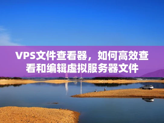 VPS文件查看器，如何高效查看和编辑虚拟服务器文件