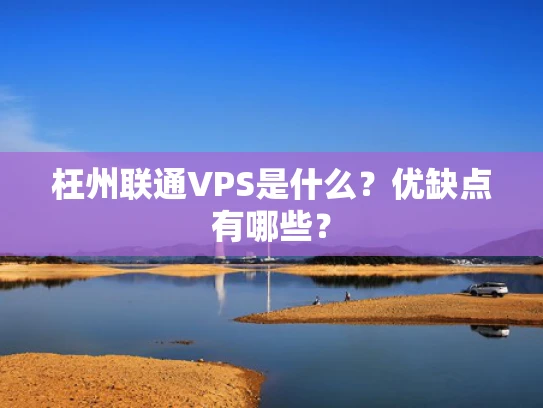 枉州联通VPS是什么？优缺点有哪些？