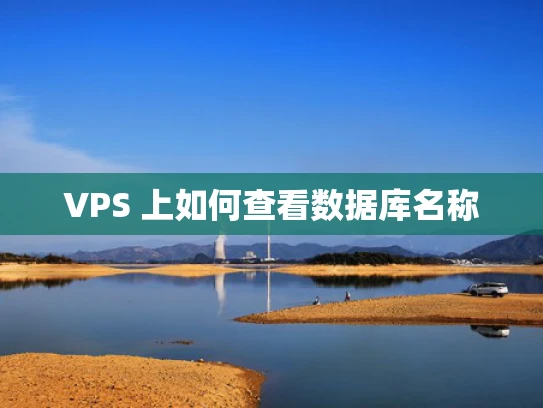 VPS 上如何查看数据库名称