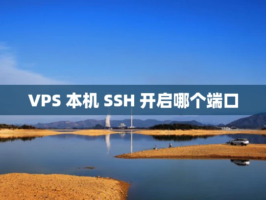 VPS 本机 SSH 开启哪个端口