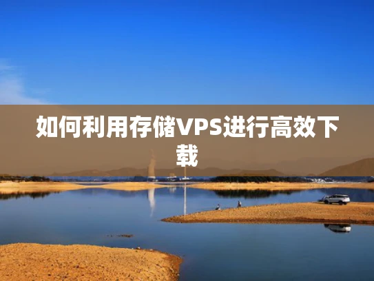 如何利用存储VPS进行高效下载