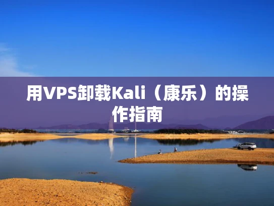 用VPS卸载Kali（康乐）的操作指南
