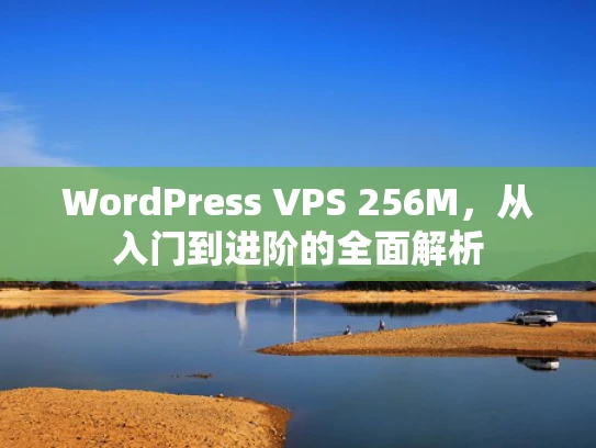 WordPress VPS 256M，从入门到进阶的全面解析