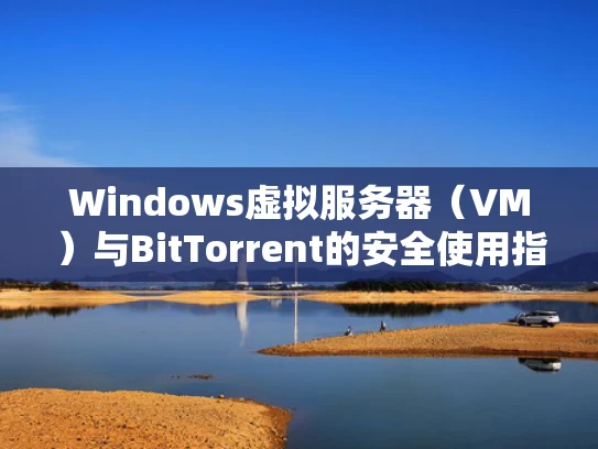 Windows虚拟服务器（VM）与BitTorrent的安全使用指南