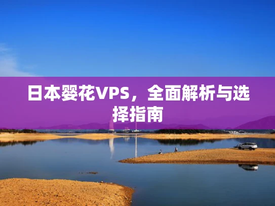 日本婴花VPS，全面解析与选择指南