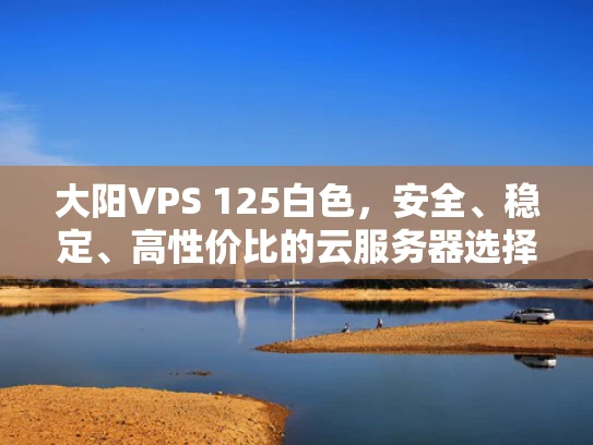 大阳VPS 125白色，安全、稳定、高性价比的云服务器选择