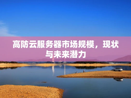 高防云服务器市场规模，现状与未来潜力