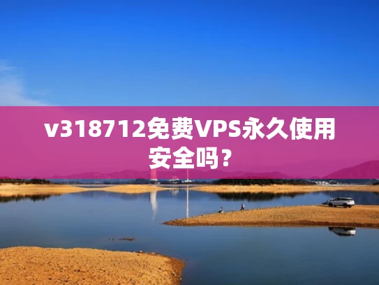 v318712免费VPS永久使用安全吗？