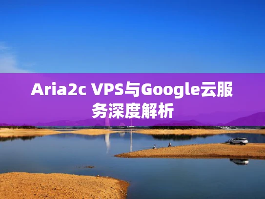 Aria2c VPS与Google云服务深度解析