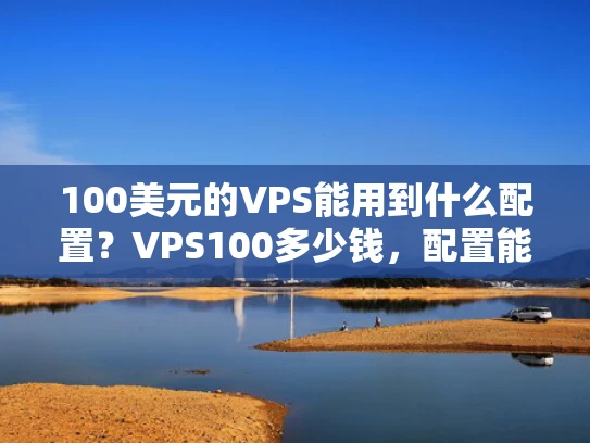 100美元的VPS能用到什么配置？VPS100多少钱，配置能用到什么）