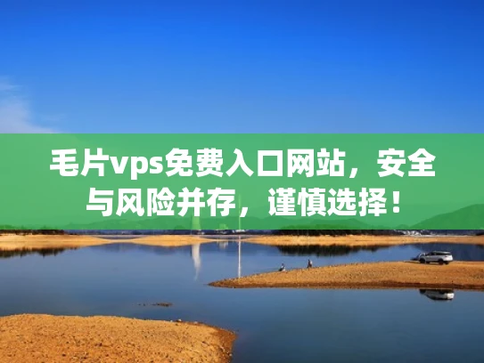 毛片vps免费入口网站，安全与风险并存，谨慎选择！