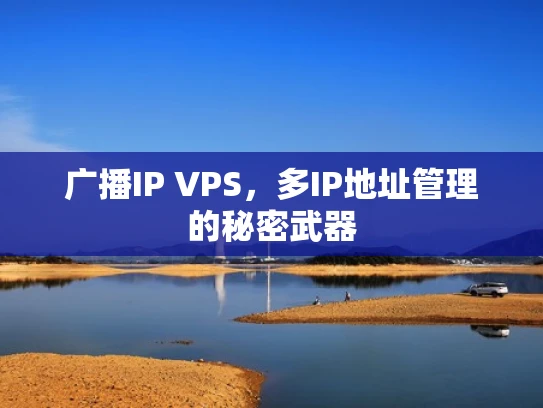 广播IP VPS，多IP地址管理的秘密武器