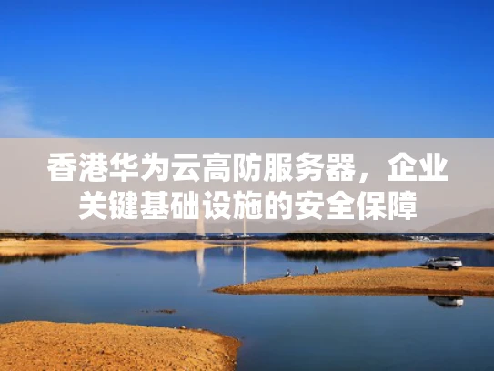 香港华为云高防服务器，企业关键基础设施的安全保障