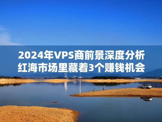 2024年VPS商前景深度分析红海市场里藏着3个赚钱机会