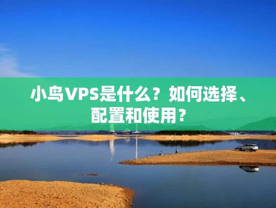 小鸟VPS是什么？如何选择、配置和使用？