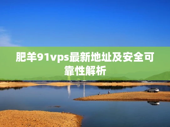 肥羊91vps最新地址及安全可靠性解析