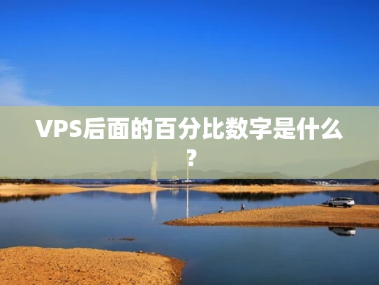 VPS后面的百分比数字是什么？