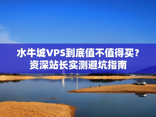 水牛城VPS到底值不值得买？资深站长实测避坑指南