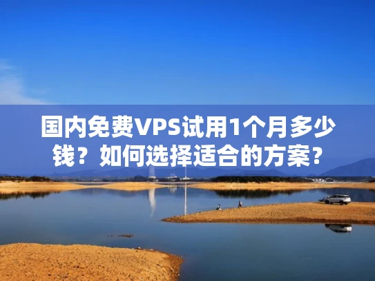 国内免费VPS试用1个月多少钱？如何选择适合的方案？