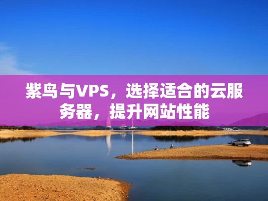 紫鸟与VPS，选择适合的云服务器，提升网站性能