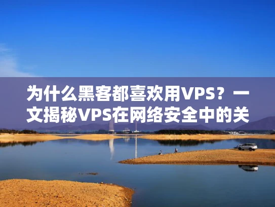 为什么黑客都喜欢用VPS？一文揭秘VPS在网络安全中的关键作用