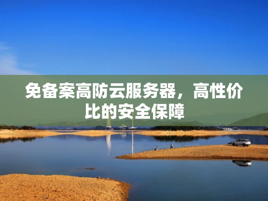 免备案高防云服务器，高性价比的安全保障