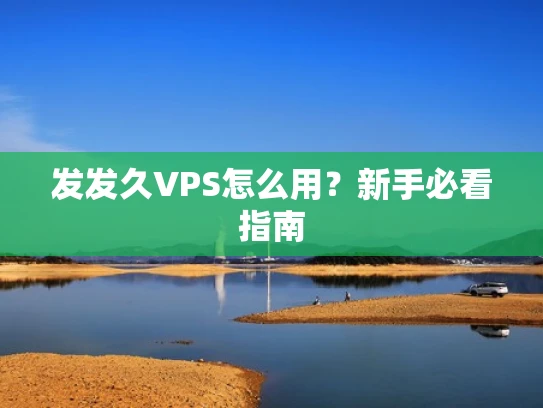 发发久VPS怎么用？新手必看指南