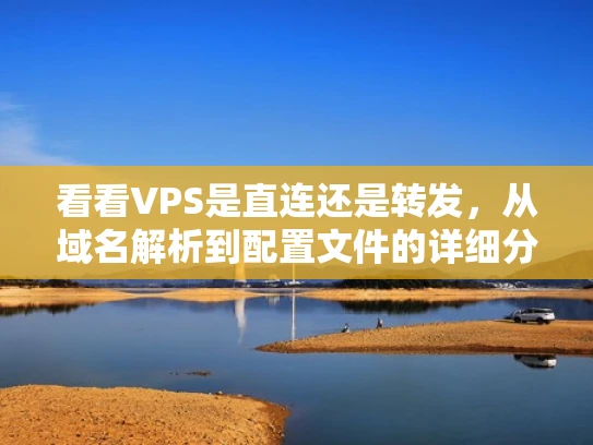 看看VPS是直连还是转发，从域名解析到配置文件的详细分析