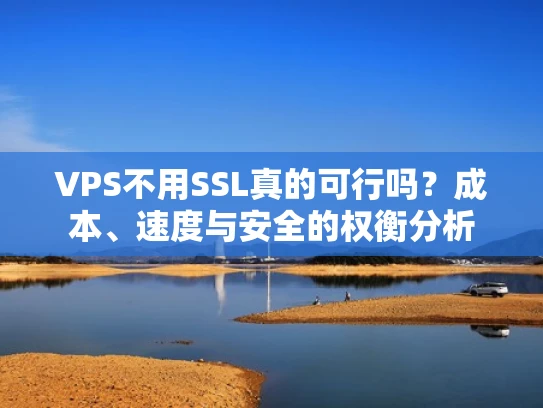 VPS不用SSL真的可行吗？成本、速度与安全的权衡分析