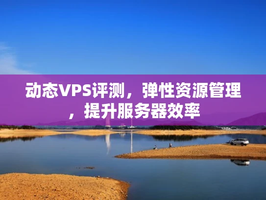 动态VPS评测，弹性资源管理，提升服务器效率