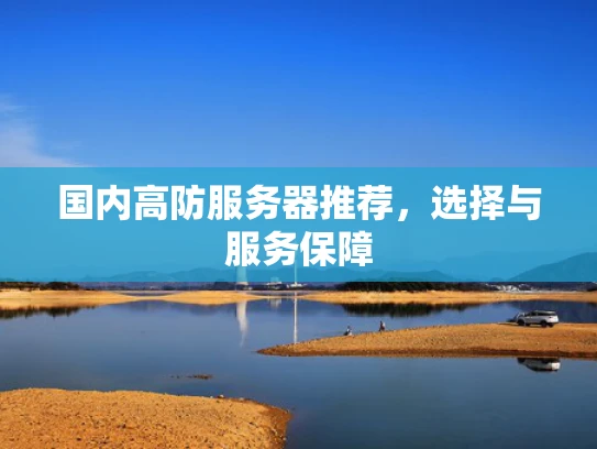 国内高防服务器推荐，选择与服务保障