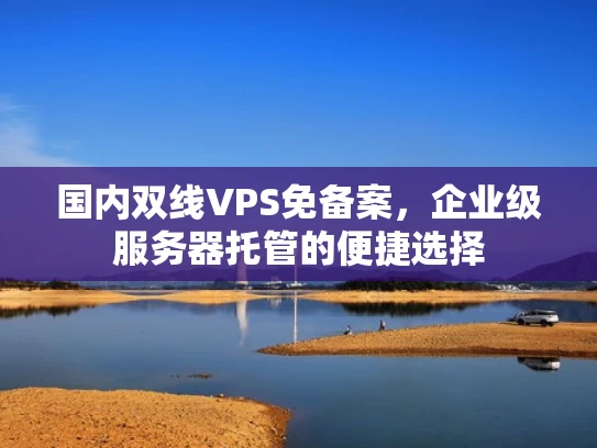 国内双线VPS免备案，企业级服务器托管的便捷选择