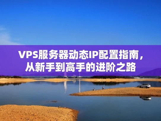 VPS服务器动态IP配置指南，从新手到高手的进阶之路