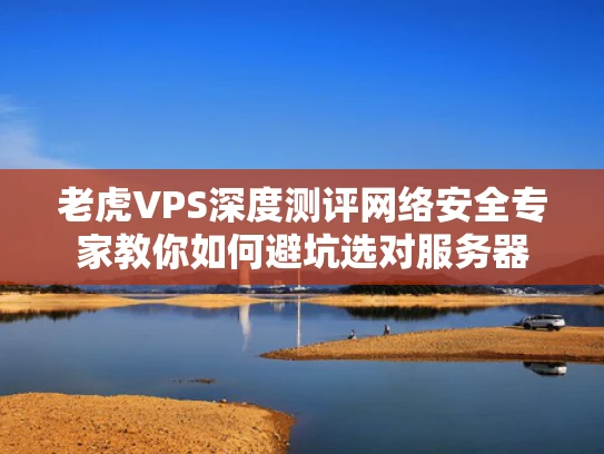 老虎VPS深度测评网络安全专家教你如何避坑选对服务器