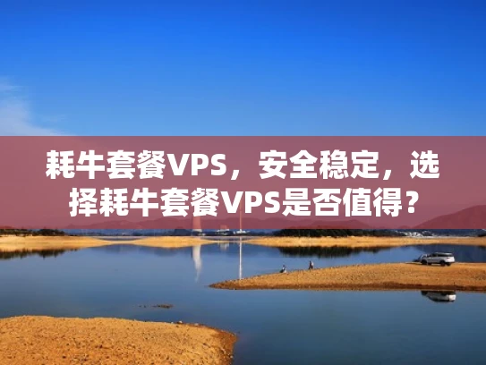 耗牛套餐VPS，安全稳定，选择耗牛套餐VPS是否值得？