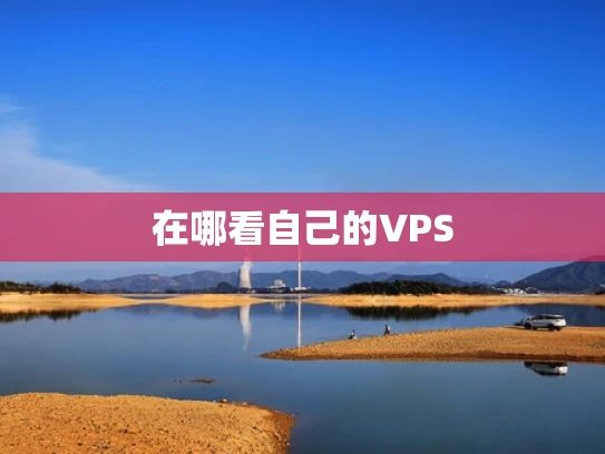 在哪看自己的VPS