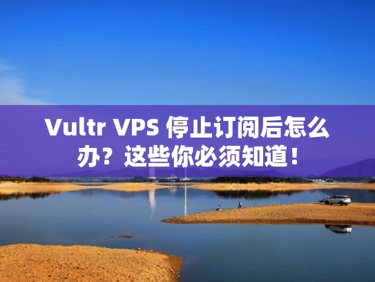 Vultr VPS 停止订阅后怎么办？这些你必须知道！
