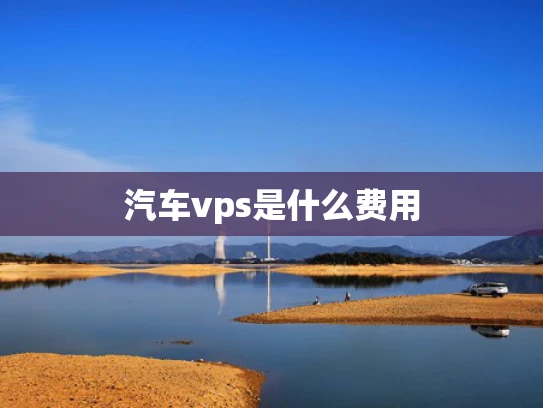 汽车vps是什么费用