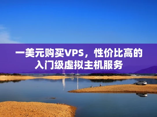 一美元购买VPS，性价比高的入门级虚拟主机服务