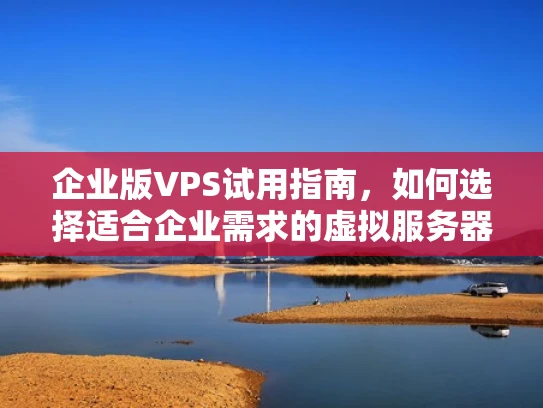 企业版VPS试用指南，如何选择适合企业需求的虚拟服务器