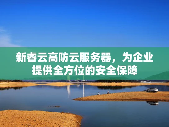 新睿云高防云服务器，为企业提供全方位的安全保障