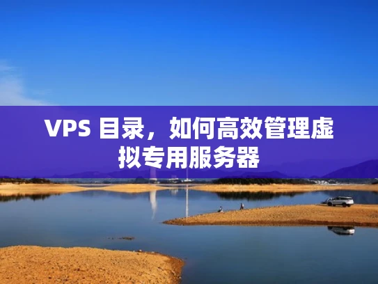 VPS 目录，如何高效管理虚拟专用服务器